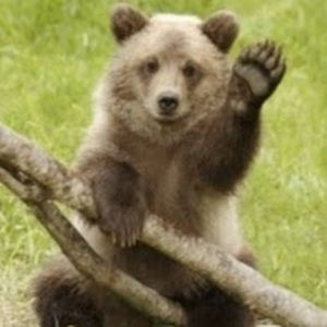 Meet your Posher, Rob